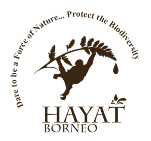 Hayat Bornéo